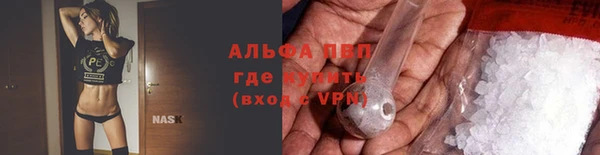 ГАЛЛЮЦИНОГЕННЫЕ ГРИБЫ Магас