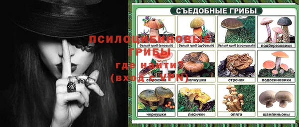 ГАЛЛЮЦИНОГЕННЫЕ ГРИБЫ Магас