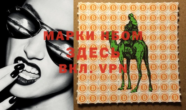 ГАЛЛЮЦИНОГЕННЫЕ ГРИБЫ Магас